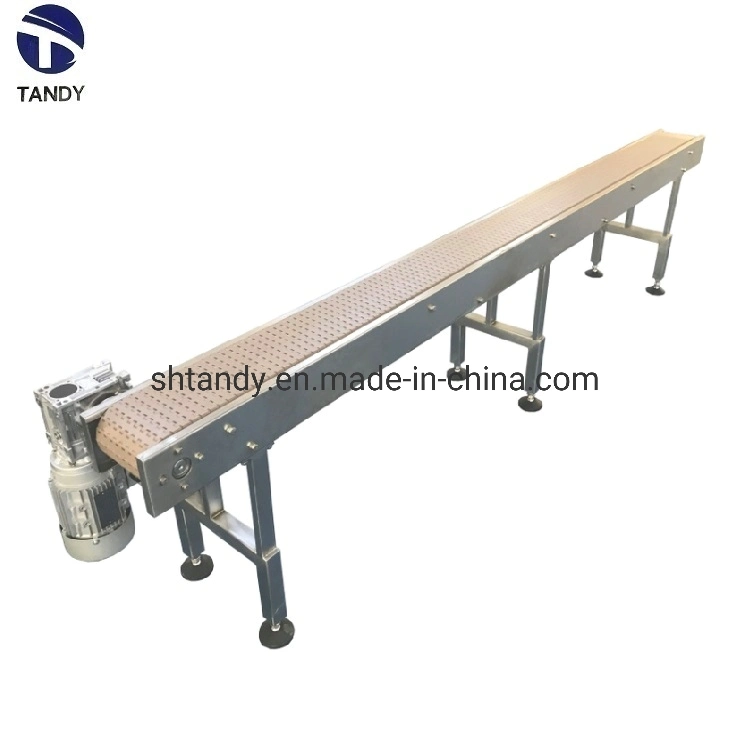 Food Packing Line Chain Slat Conveyor/Curve Conveyor/Conveying Equipment