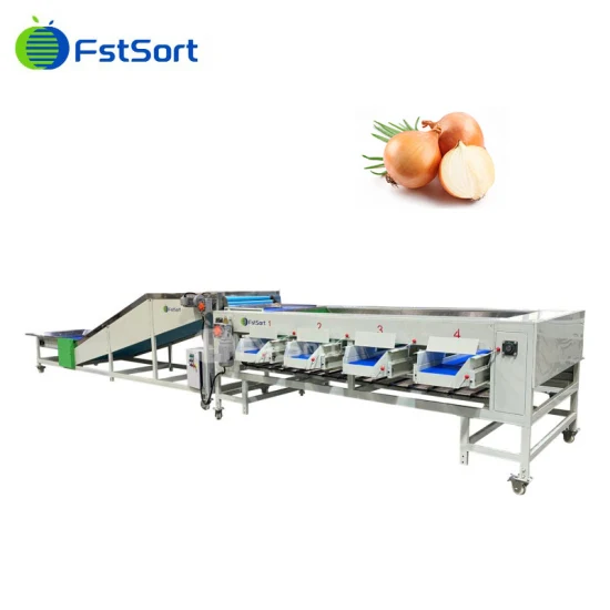 Clasificadora clasificadora de frutas Fstsort Longan/Máquina clasificadora de clasificación de lichi/Máquina clasificadora de clasificación de aceitunas Máquina clasificadora Longan