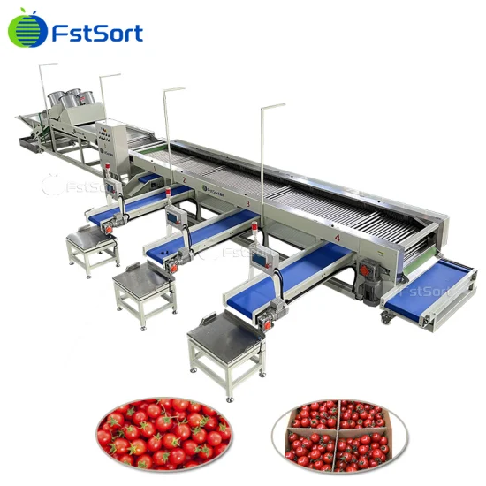 Tecnología de procesamiento de frutas Clasificación de tomates cherry Máquina de clasificación de batatas Clasificación Longan Clasificación de limas Equipo de procesamiento de limones