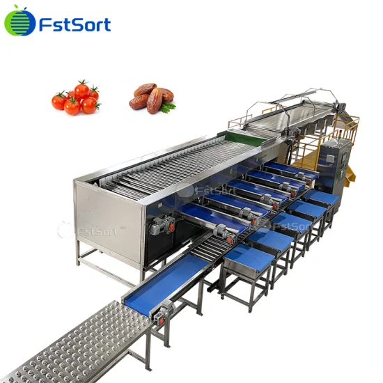 Equipos de procesamiento de frutas y verduras Equipos de clasificación de tomates cherry Clasificador de limas Fabricante de equipos de procesamiento de limones Máquina clasificadora de frutas